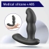 Prostate stimulator with rotation and remote Hiross [5]