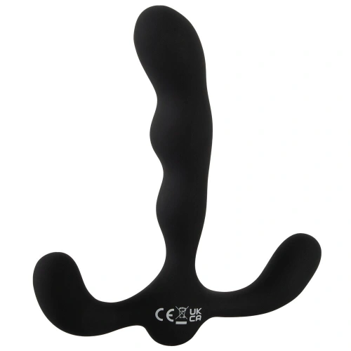 Dilyana Anos Silicone Vibrating Prostate Stimulator Rechargeable [3]