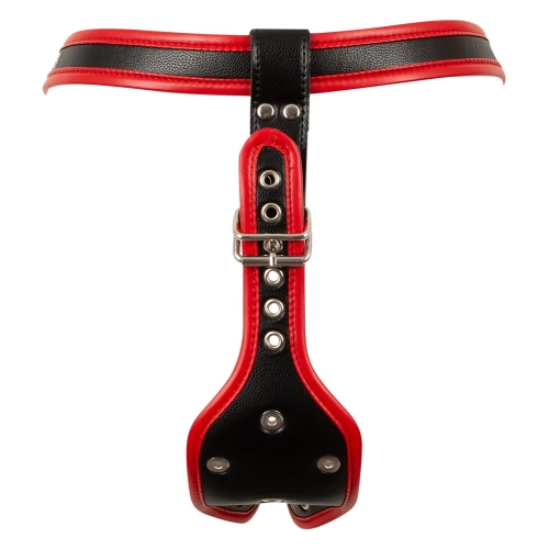 Strap-on belt with three realistic dildos Bad Kitty Dildo Briefs [8]