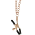 Dilyana- Metal nipple clips with chain BEGME [1]