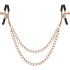 Dilyana- Metal nipple clips with chain BEGME
