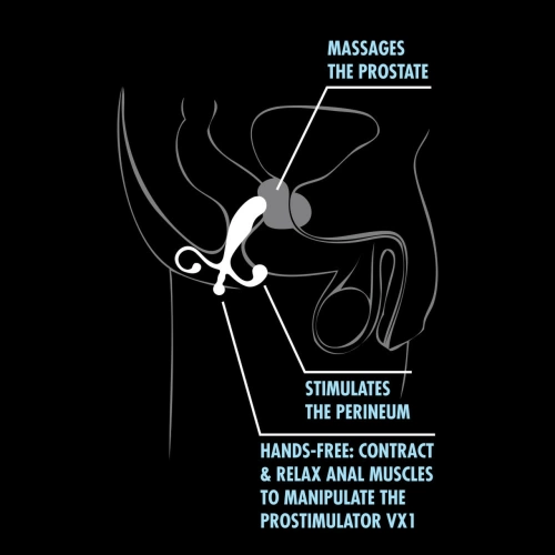Anal Adventures prostate stimulator black [4]