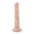 Realistic Dildo Dr Skin 19 cm [1]