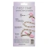 Dilyana Metal nipple clamps with chain with crystals First Time nipple teasers [7]