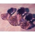 Dilyana- Set of 3 Rosebud glass anal dilators [6]