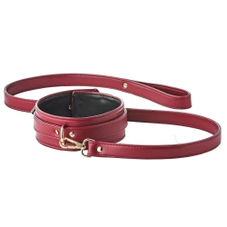 Luxury collar with lead Blaze Elite red