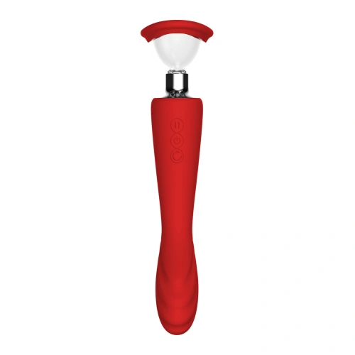 2-in-1 Vaginal pump and vibrator [10]