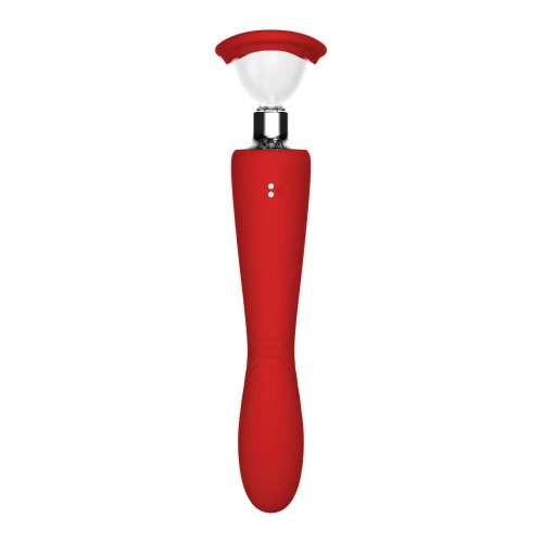 2-in-1 Vaginal pump and vibrator [11]