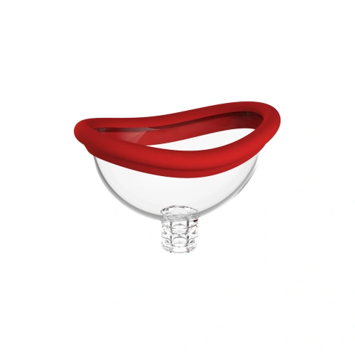 2-in-1 Vaginal pump and vibrator [12]