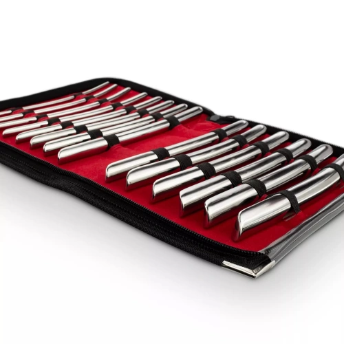 Ralitsa Luxury set of metal urethral dilators in leather case Single Ended [8]