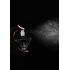 Nina - Women's perfume with pheromones Eye Of Love Matchmaker 30 ml [6]