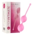 Kegal Balls Vaginal beads made of honey. Silicone Femintimate [6]