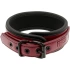 Vegan Fetish Submissive Dark Room Collar [1]