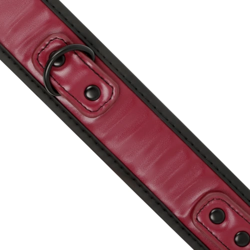 Vegan Fetish Submissive Dark Room Collar [4]