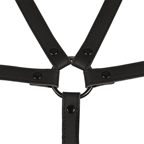 Adjustable BDSM Torso and Hand Harness Fetish Submissive [5]