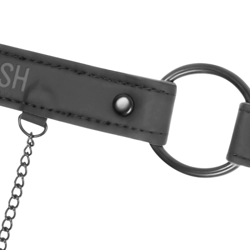 Mouth Ring with Nipple Clips Fetish Submissive [4]