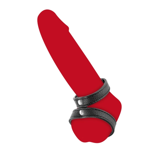 Fetish Tentation double leather penis strap [2]