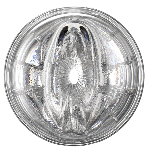Fleshlight Quickshot Autumn Falls Dual Hole Masturbator - Vagina and Anus [1]