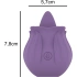 Ver. new Intense Violet Rechargeable Silicone Clitoris Stimulator [2]