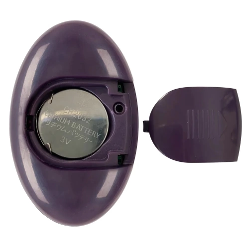 Deluxe stimulator with remote Shaking Panty [8]