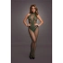 Dilyana- Le Desir 026 green open bottom mesh bodysuit [4]