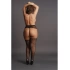 Le Desir 044 Queen sexy garter revealing pantyhose [1]