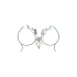 Shots Le Desir Bliss V-neckline embellished crystals [1]