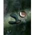 Veronika new Luxury prostate stimulator with App and remote Lelo Hugo 2 Remote black [10]
