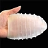 Male Masturbator Giant Egg Grind Ripples [9]