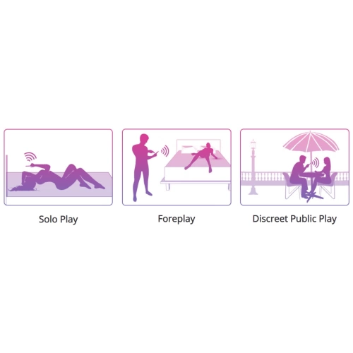 ​Clitoral stimulator with underwear attachment Lovense Ferri with App [12]