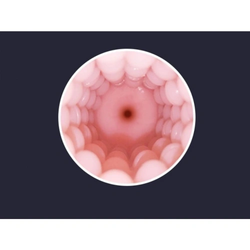 Realistic removable masturbator sleeve Max 2 by Lovense [2]