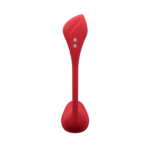 Vulse by Lovense pulsing egg and attachment [3]