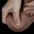 Nature Cock Realistic Double Layer Silicone Dildo 7.5" [15]