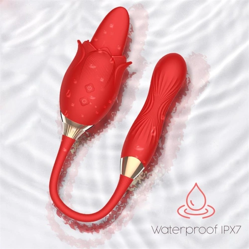 Rechargeable 2 in 1 Silicone Stimulator - Vibro Egg with Swing Function and Clitoris Stimulator Martinella Tongue [6]