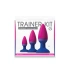 Nina - Set of 3 silicone anal dilators Colors Pleasure [3]