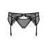 Obsessive Charms sexy garter belt and thong [2]