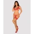 Obsessive Mellania 2-piece erotic lingerie [4]