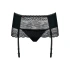 Obsessive Miamor garter belt and thong [2]