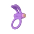 Rechargeable silicone cock ring with clitoris stimulator Riny purple [1]