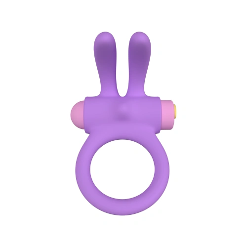Rechargeable silicone cock ring with clitoris stimulator Riny purple [3]