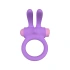 Rechargeable silicone cock ring with clitoris stimulator Riny purple [3]