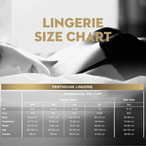 Net Body Genter with openings Penthouse Fancy Me [3]