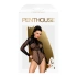 Erotic mesh bodysuit Penthouse Spicy Whisper black [3]