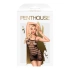Erotic mesh dress Penthouse Ecstasy Queen [2]