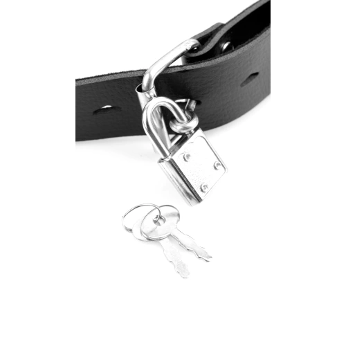 Mouth ball gag with dildo Deluxe [4]