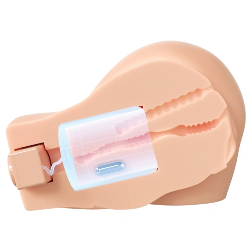Suction and vibrating masturbator PDX Back That Ass Up [3]