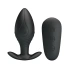 Powerful vibrating expander with Regina remote [1]