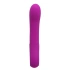 Alston Silicone Rechargeable Vibrator [2]