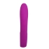 Alston Silicone Rechargeable Vibrator [3]