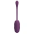 Rechargeable Soft Silicone Vibro Egg with Pretty Love Casper Mobile App